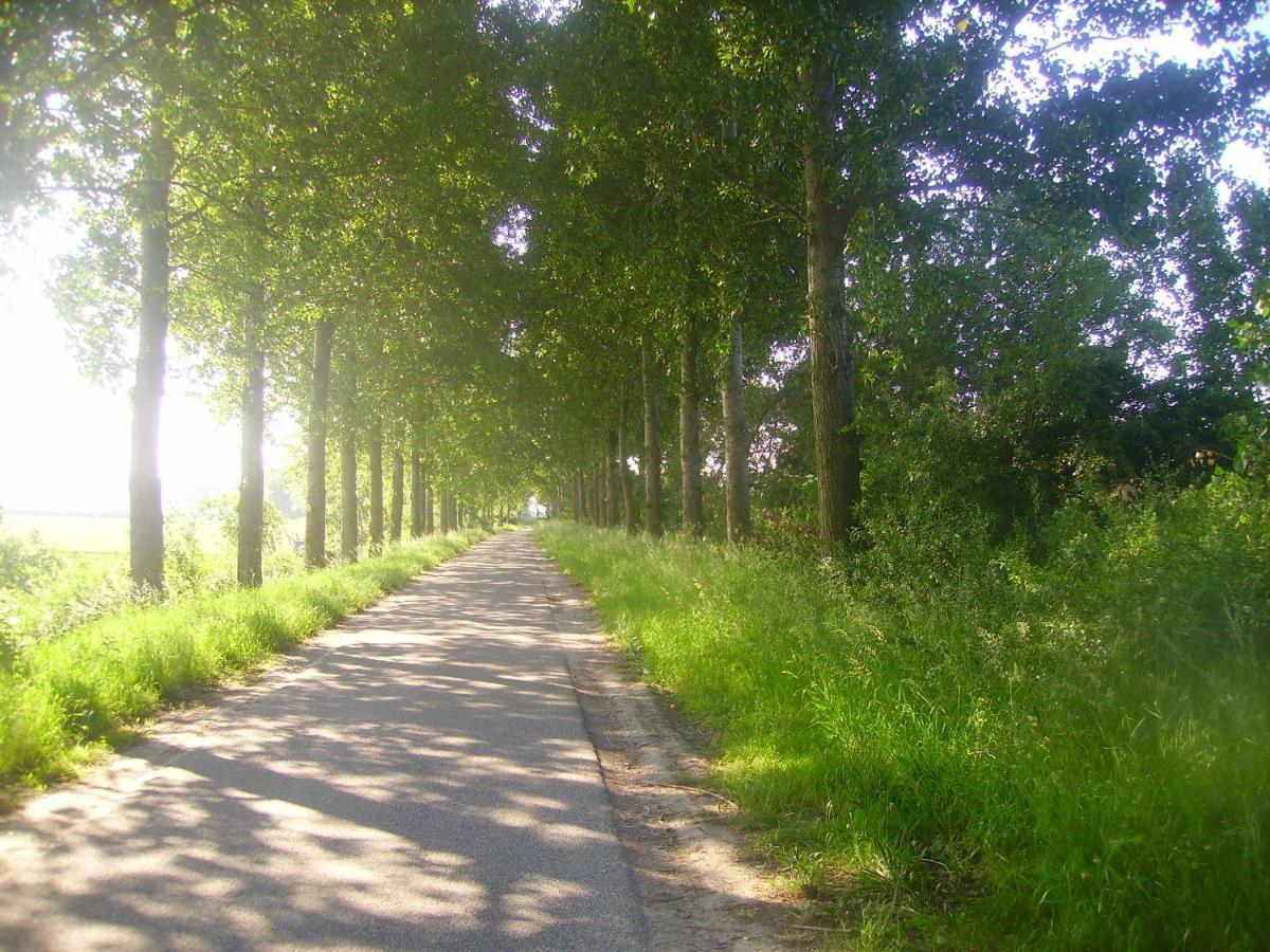 Krabbenkreek 2 Villa ซินท์ อันนาลอนด์ ภายนอก รูปภาพ
